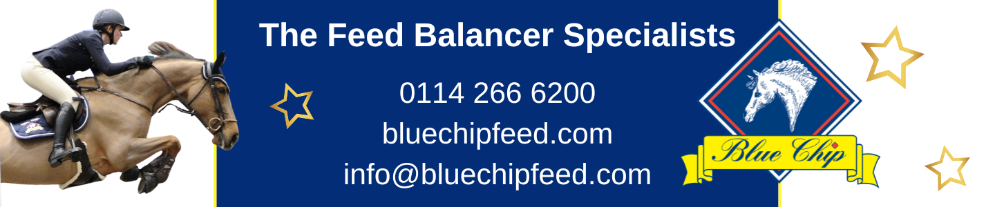 blue chip pro feed