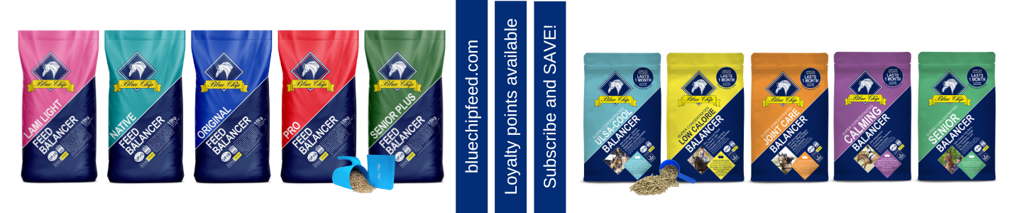 blue chip feed range