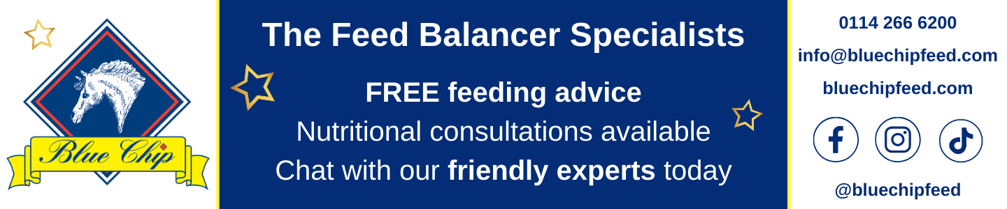 blue chip feed range