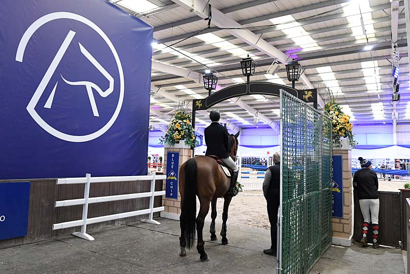 drawn orders blue chip championships