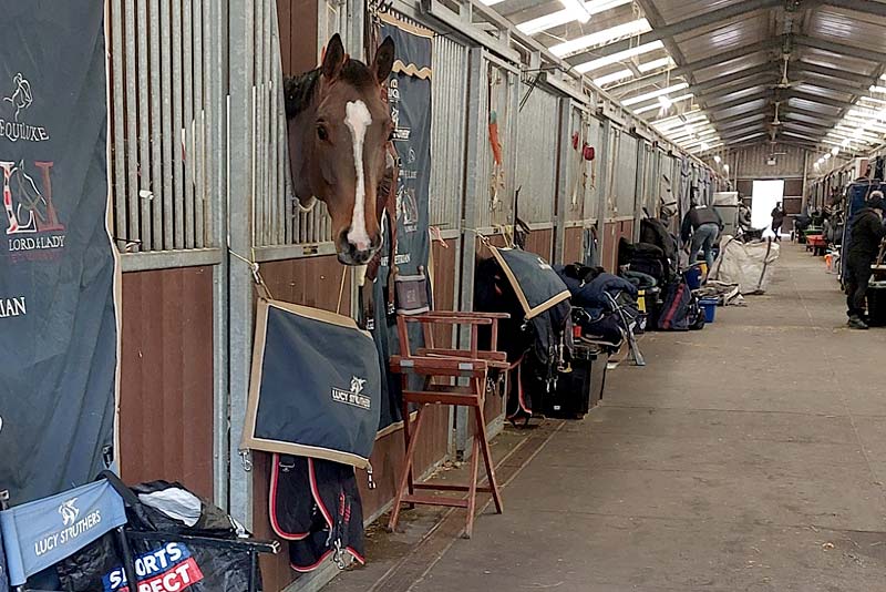 blue chip stable and hookups